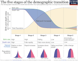 Demographics and Technology Chart