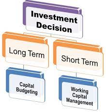 Financial and investment decisions