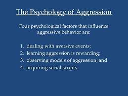 Influence of aggressive behavior 2022 expert Influence of aggressive behavior