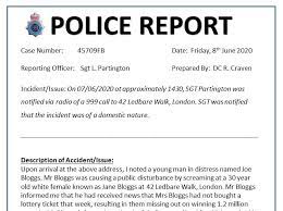 Police report for a fictional crime.
