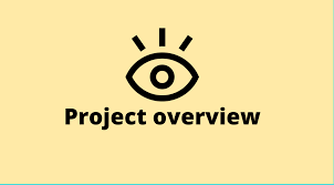 Project overview.