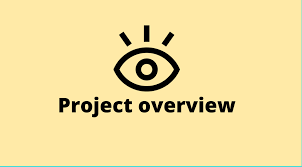 Project overview. 2022 Best Project overview.