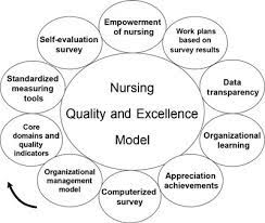 Quality of nursing practice