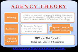 Rationale and Analysis of Agency.