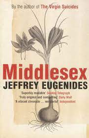 Reflection of Jeffrey Eugenides Novel.