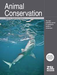 Research paper on Shark hunting. 2022 Best Research paper on Shark hunting.